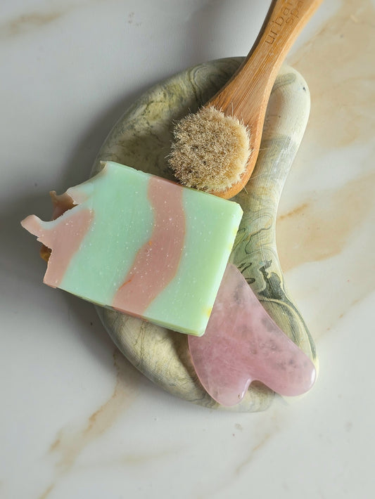 Venus Soap